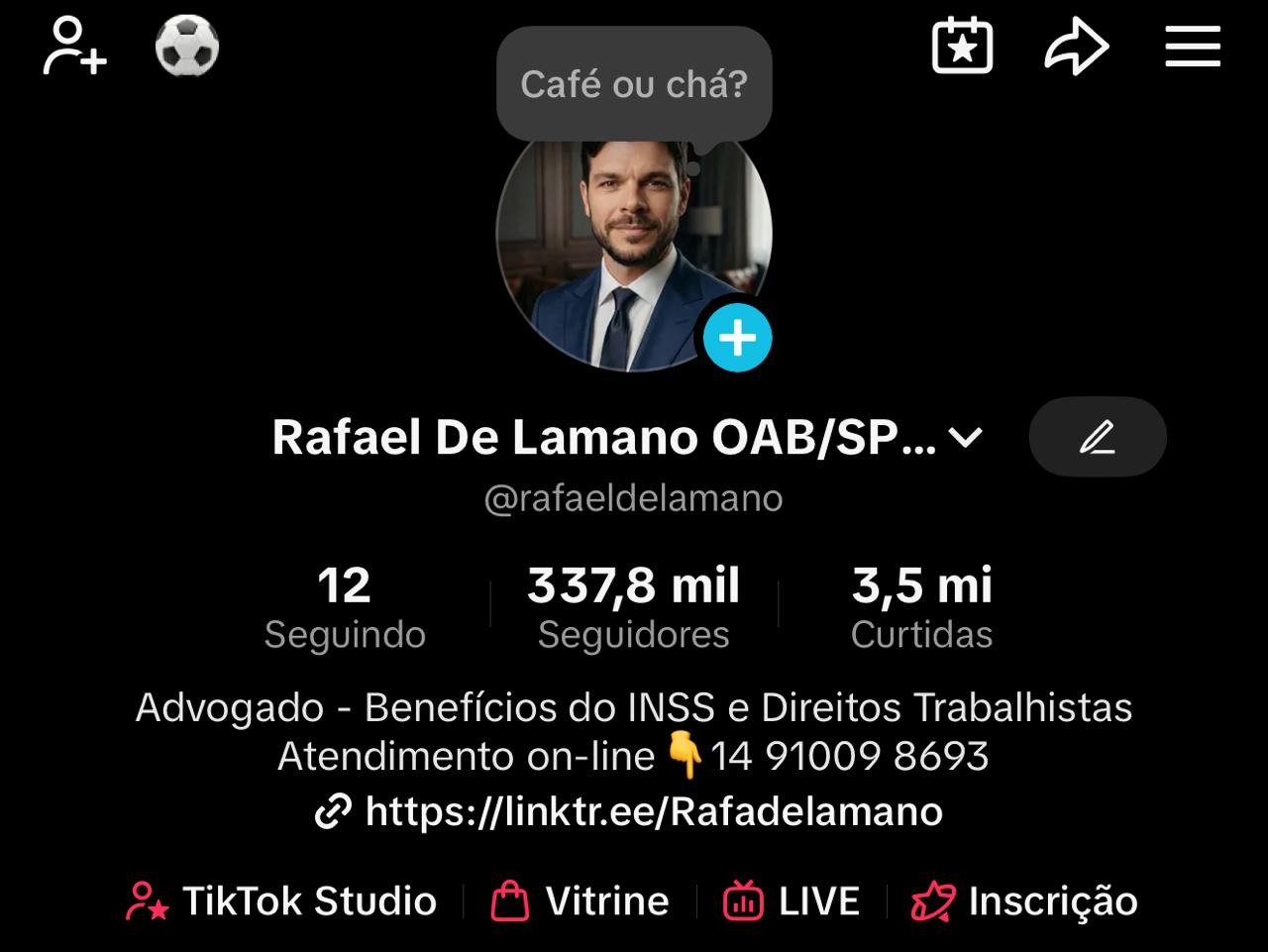 Print do perfil no TikTok com 335 mil seguidores